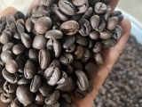 RANG CÀ PHÊ LÀ CẢ MỘT NGHỆ THUẬT!