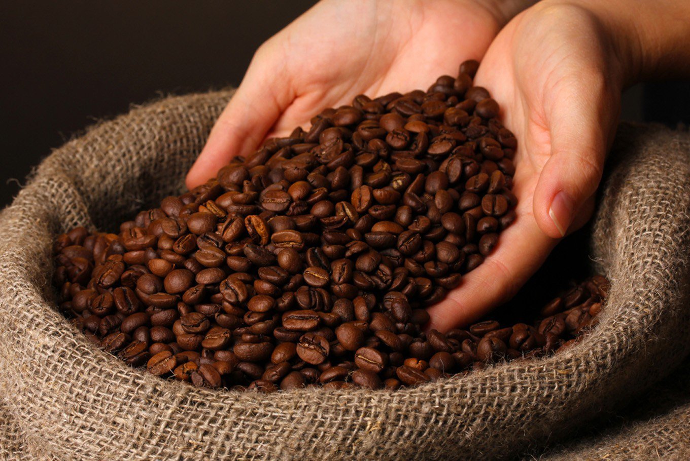 lợi ích từ việc đầu tư máy rang cà phê rio